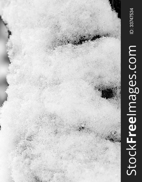 Background Of Snow On The Trunk Of The Tree