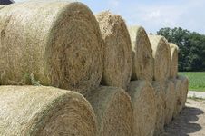 Round Hay Bales Stacked Ready Royalty Free Stock Photography Round Hay Bales Stacked Ready Royalty Free Stock Photography