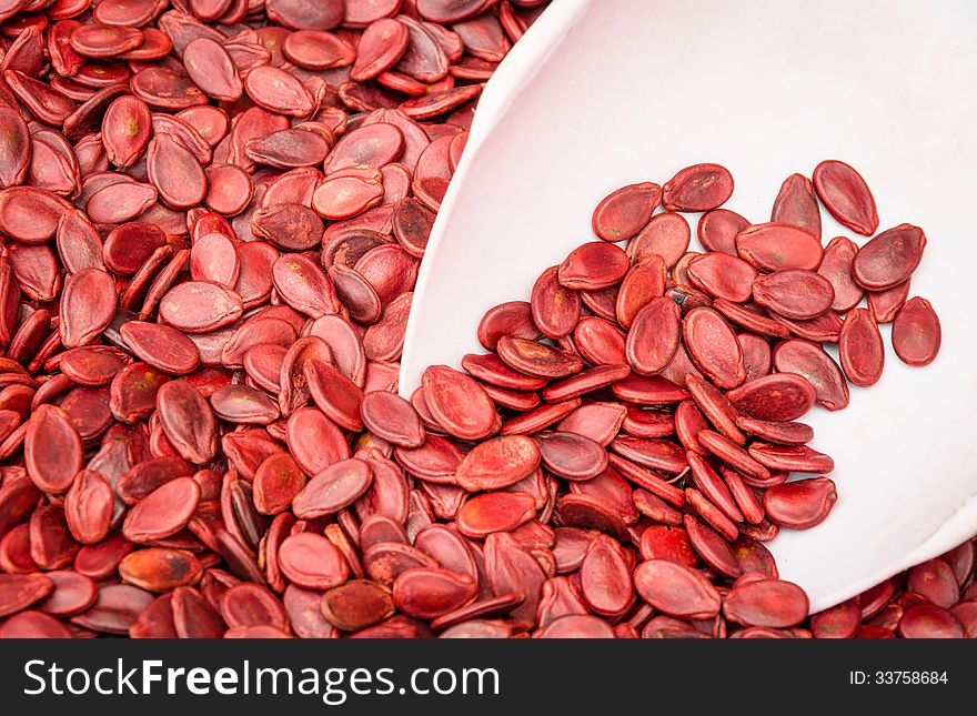 Close up of red pumpkin seeds.