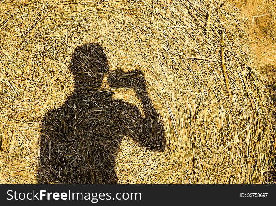 Photographer S Shadow On Hay