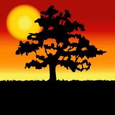 Sunset Landscape With Tree Silhouette. Royalty Free Stock Photography Sunset Landscape With Tree Silhouette. Royalty Free Stock Photography