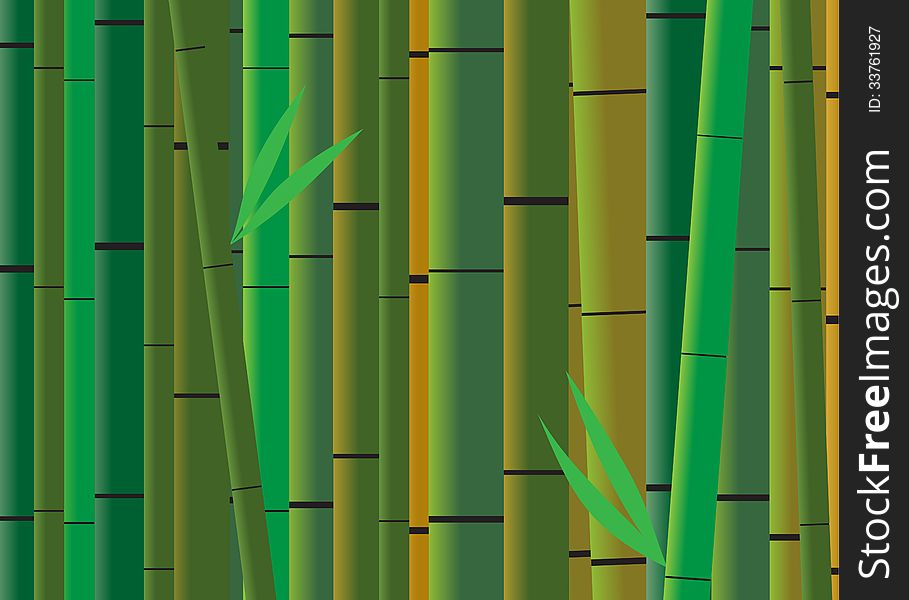 Nature. Background. The trunks of bamboo with leaves