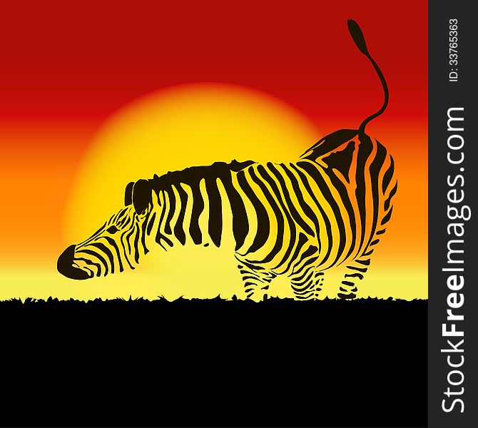 Illustration of zebra silhouette at sunset, vector