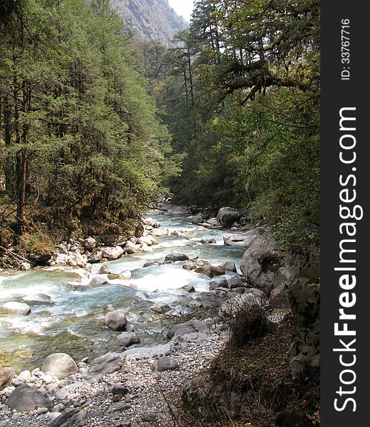 The mountain river on tracking in a valley Lang Tang, Nepal