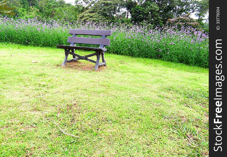 A seat made from wood is on a lawn in a botanical garden. A seat made from wood is on a lawn in a botanical garden.