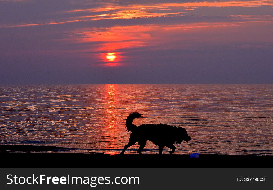 Sunset by the dog beach. Sunset by the dog beach.