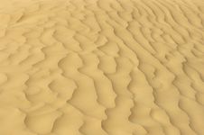 Desert Prints Stock Image