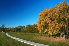 Autumn In The Park Royalty Free Stock Image Autumn In The Park Royalty Free Stock Image