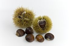 Raw Chestnuts.a Close Up Shot Stock Photography Raw Chestnuts.a Close Up Shot Stock Photography