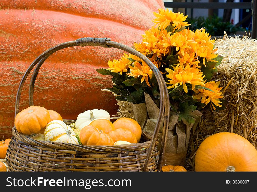 Pile of pumpkins, haystack, flowers. Pile of pumpkins, haystack, flowers.