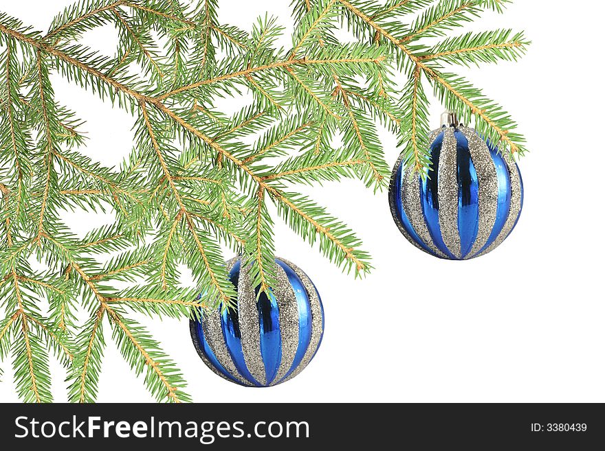 Two blue balls on a fur-tree branch on a white background.