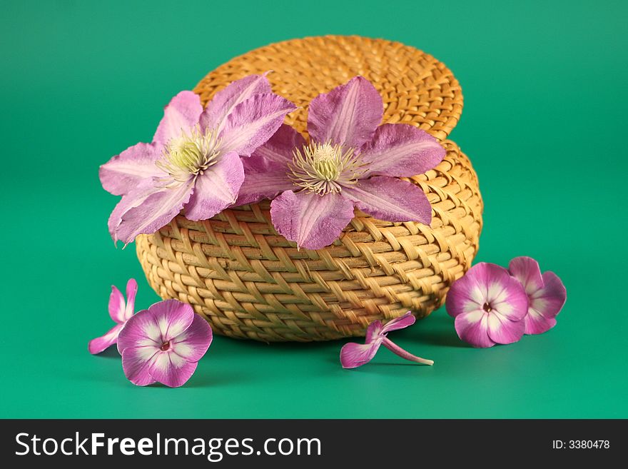 Basket with   flowers on a green  background. Basket with   flowers on a green  background