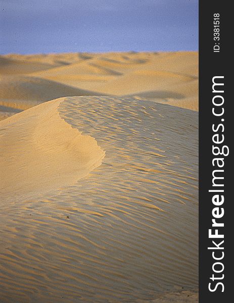 Dune with the typical S shape at the sunset in the core of Sahara Desert in North Africa. Dune with the typical S shape at the sunset in the core of Sahara Desert in North Africa