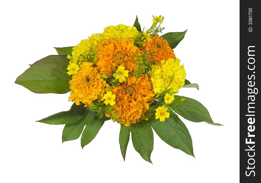 Bouquet isolated on the white background. Bouquet isolated on the white background