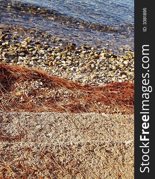 Debris washed on winter beach