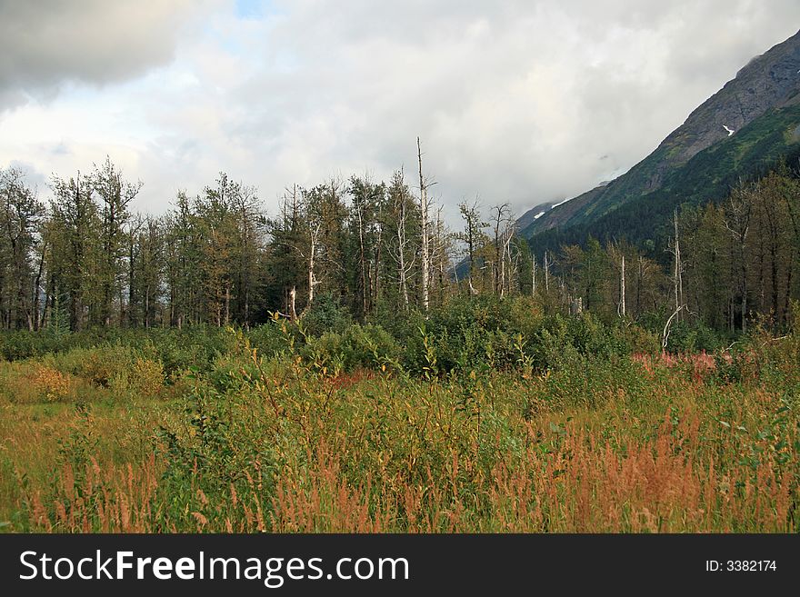 Alaska with mountains in background.