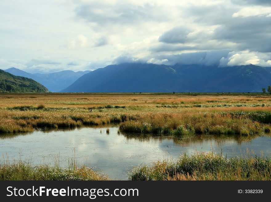 Alaska landscape with pond and stream. Alaska landscape with pond and stream.