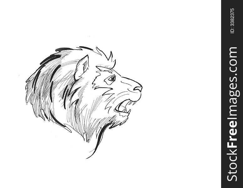 Little lion cub head hand drawn sketch Royalty Free Vector
