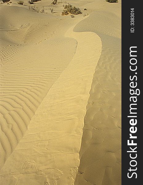 Dune with the typical S shape at the sunset in the core of Sahara Desert in North Africa. Dune with the typical S shape at the sunset in the core of Sahara Desert in North Africa