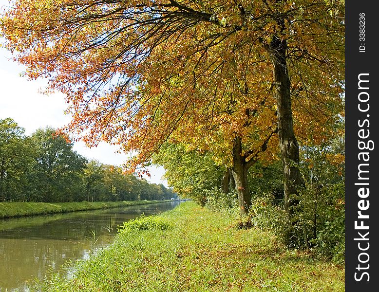 Autumn trees near the river. Autumn trees near the river