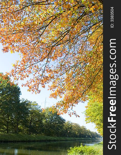 Autumn trees near the river. Autumn trees near the river