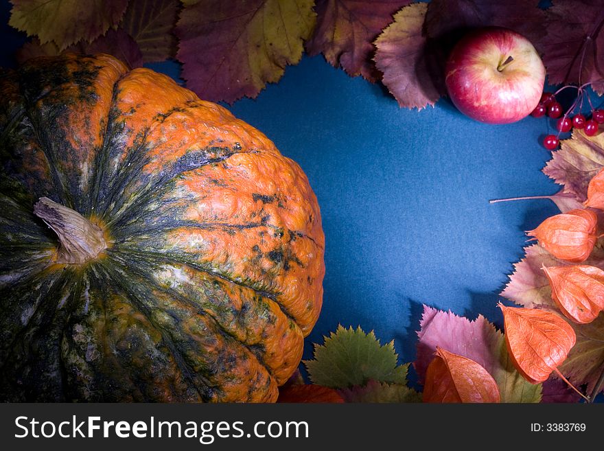 Autumn harvest frame on textured cardboard, light painting made with light brush