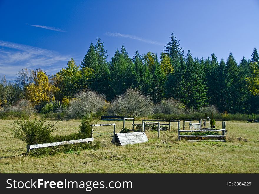 Horse Show Pasture Field