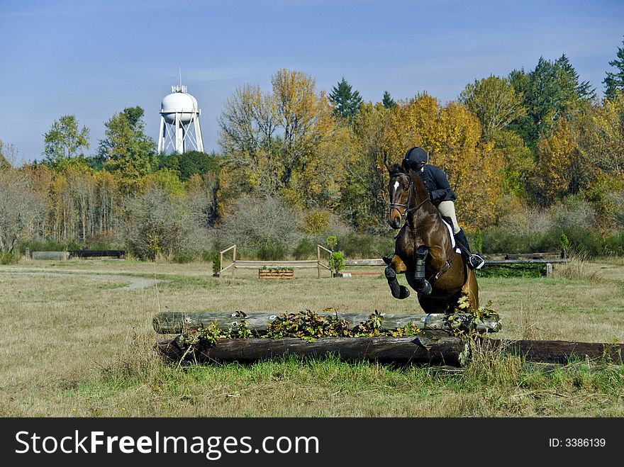 Horse Show Pasture Field