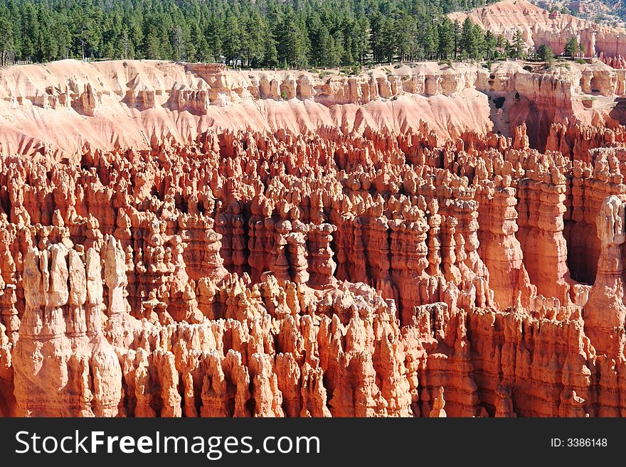 A Large Grouping Of Hoodoos at Bryce Canyon National Park, UT. A Large Grouping Of Hoodoos at Bryce Canyon National Park, UT