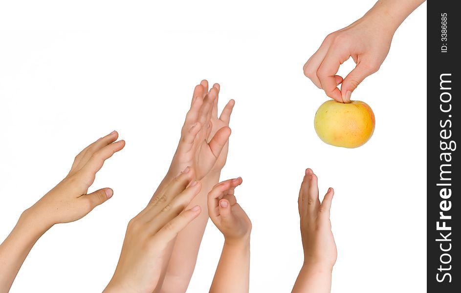 Children pull hands upwards isolated