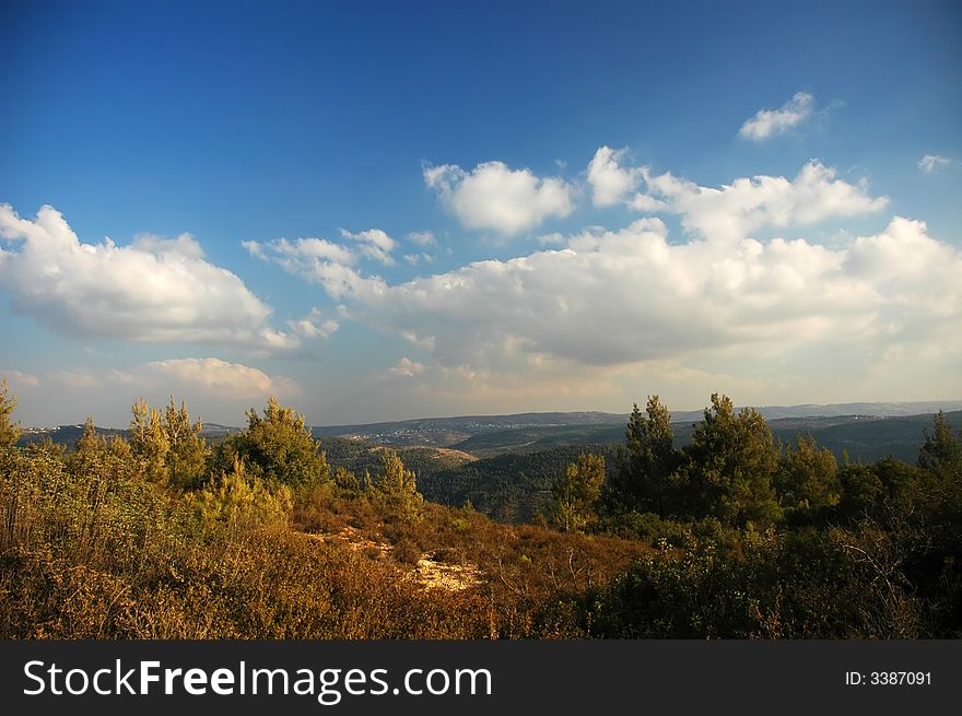 Israeli Autumn Landscape