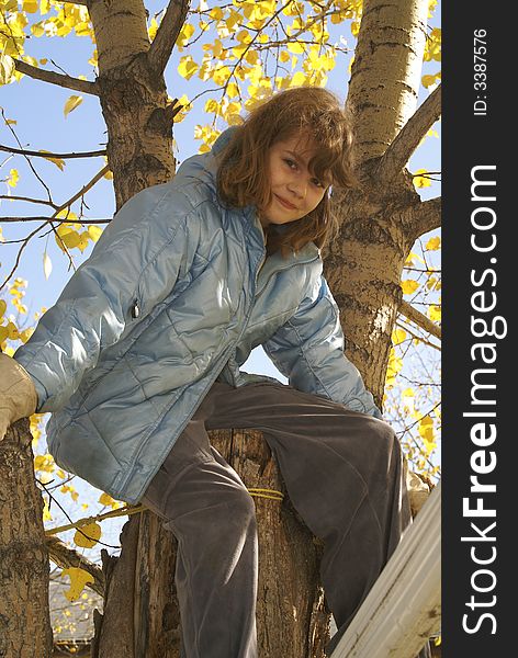 A young girl climbs a tree in the fall to be among the leaves. A young girl climbs a tree in the fall to be among the leaves