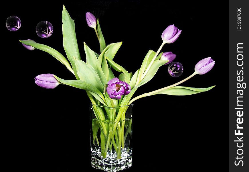 Purple tulip bouquet surrounded with purple colored bubbles. Purple tulip bouquet surrounded with purple colored bubbles.
