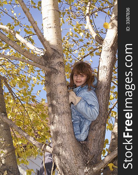 A girl climbs a tree and sits in the crook of two branches and enjoys the cool fall air. A girl climbs a tree and sits in the crook of two branches and enjoys the cool fall air.