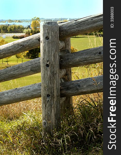 An old fence showing it's age surrounded by vegetation