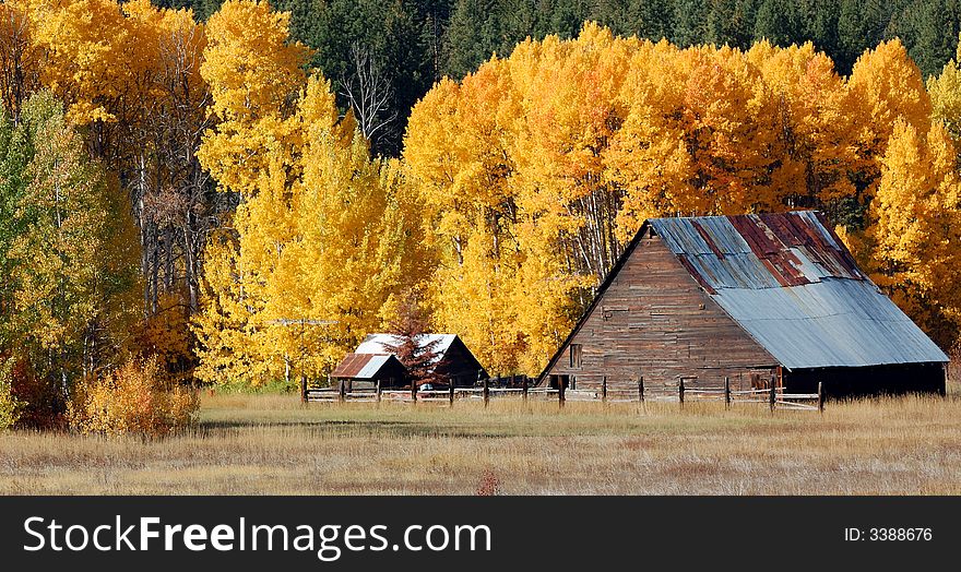 Beautiful Autumn Morning in the cascade foothill in washington. Beautiful Autumn Morning in the cascade foothill in washington