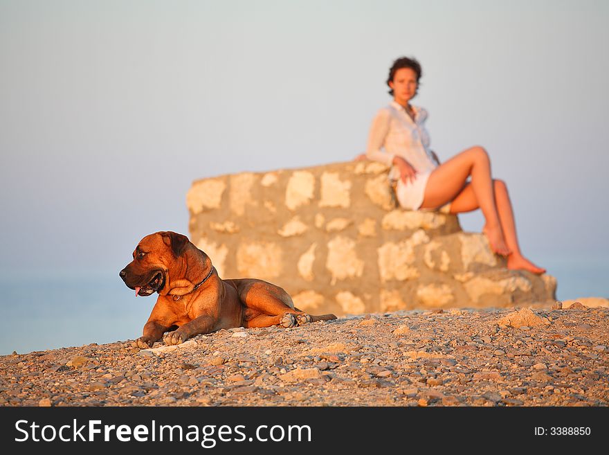 Young woman and the dog Focus on dog