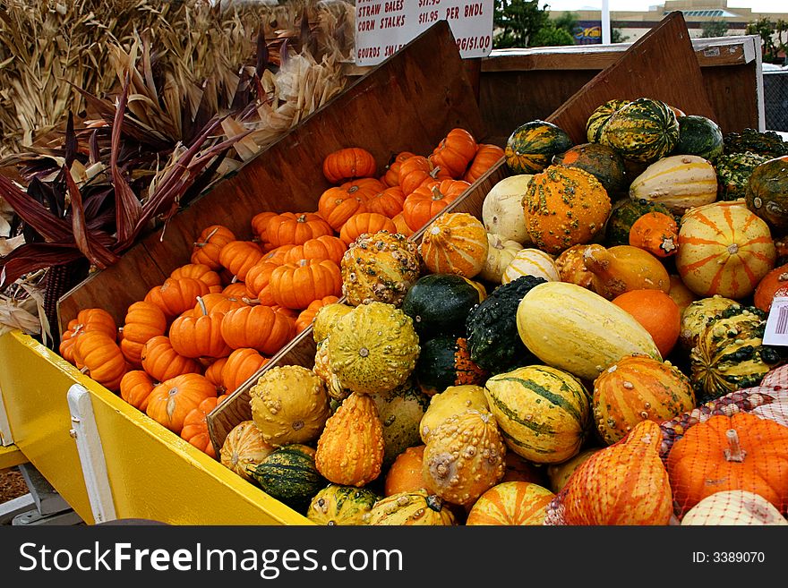 Colorful gourds and miniature pumpkins in a sellers cart.  Corn stalks shown to the side of the cart. Colorful gourds and miniature pumpkins in a sellers cart.  Corn stalks shown to the side of the cart.