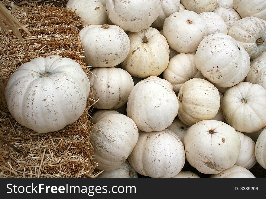 Horizontal view of a pile of white pumpkins, with one sitting on a bale of hay. Horizontal view of a pile of white pumpkins, with one sitting on a bale of hay.
