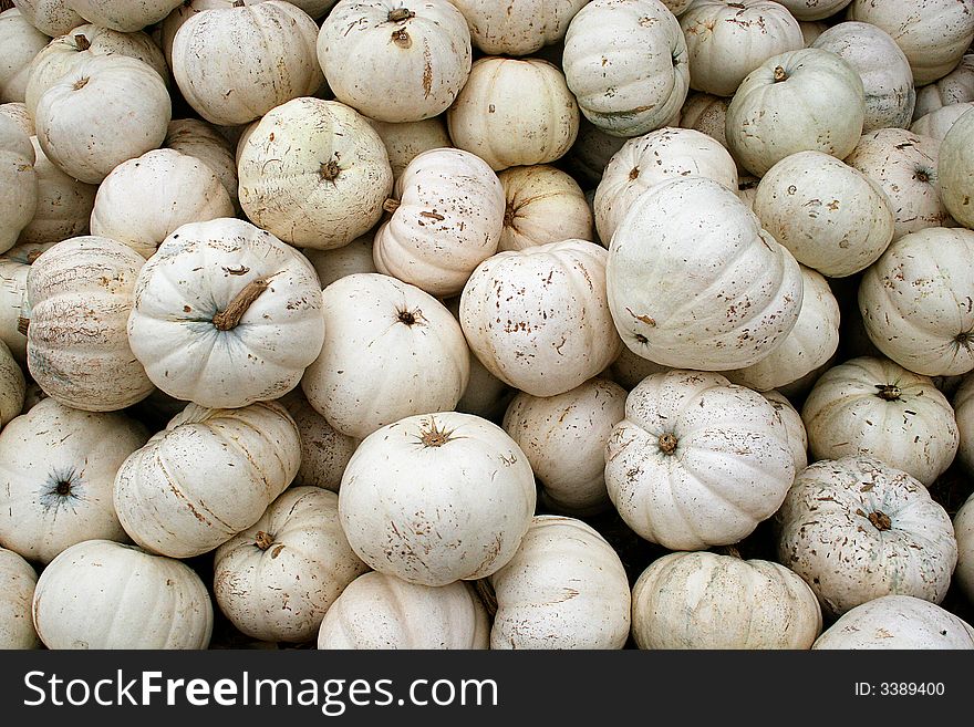 Horizontal view of a pile of white pumpkins. Horizontal view of a pile of white pumpkins