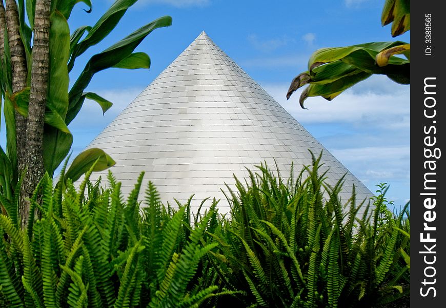 Metallic cone pointing skyward viewed through vegetation. Metallic cone pointing skyward viewed through vegetation