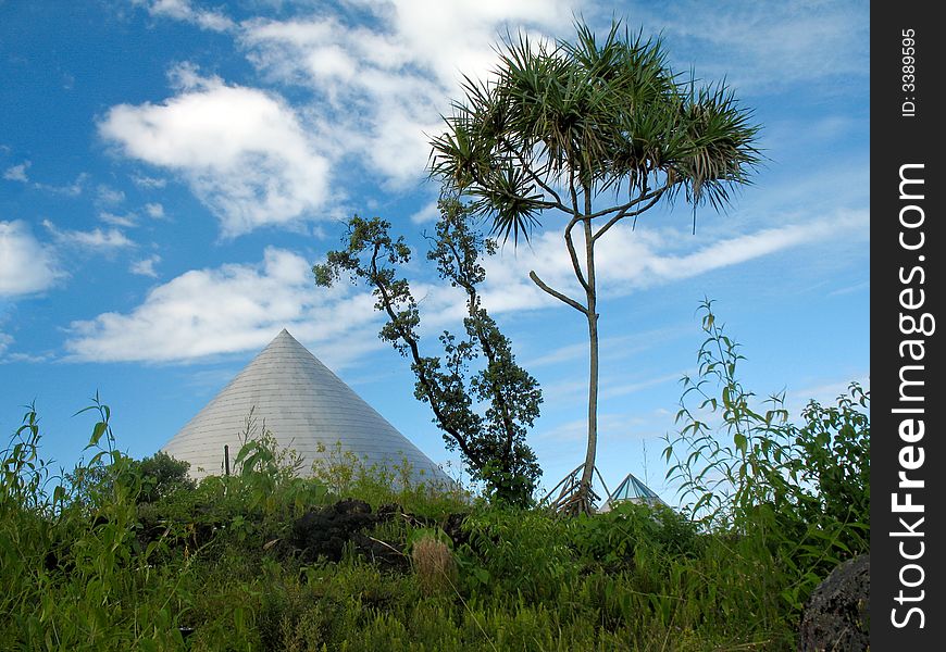 Metallic cones pointing skyward viewed through vegetation. Metallic cones pointing skyward viewed through vegetation