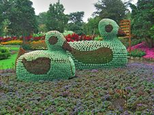 Ducks Made Of Flowers Stock Photos Ducks Made Of Flowers Stock Photos