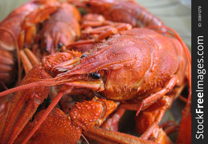 Boiled crawfish lie in the plate closeup. Boiled crawfish lie in the plate closeup