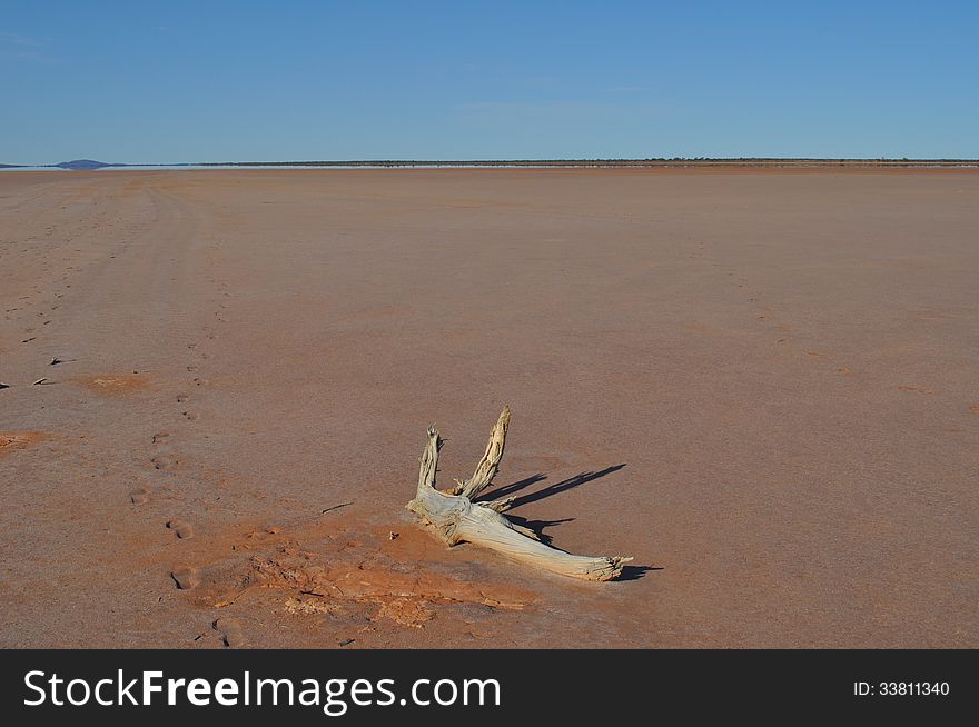 Footprints leading off into the desert on a salt lake. Footprints leading off into the desert on a salt lake