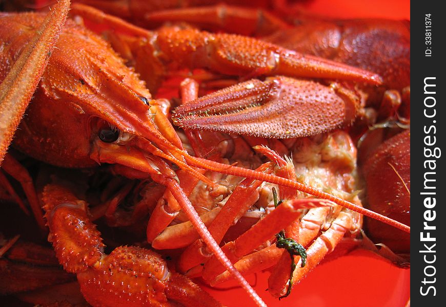 Red crawfish in the red plate еnlarged. Red crawfish in the red plate еnlarged