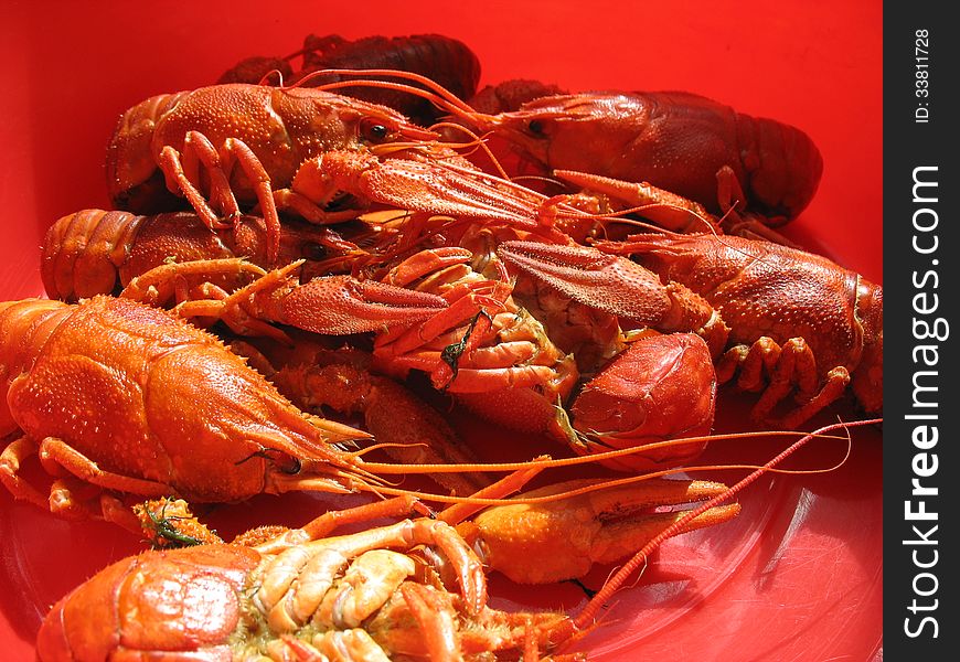 Boiled crawfish dish in red in the sun. Boiled crawfish dish in red in the sun