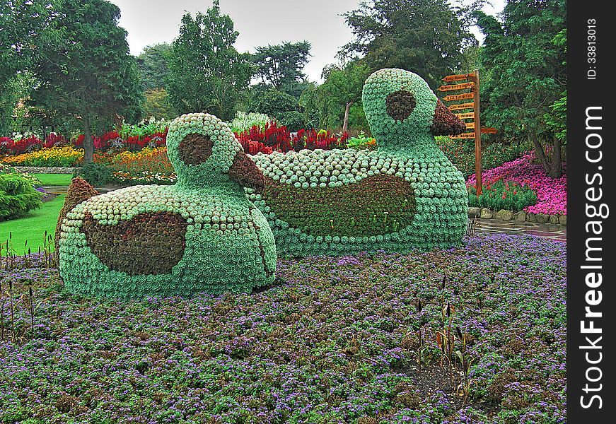 Ducks made of flowers in Jesperhus botanic garden in Jutland, Denmark