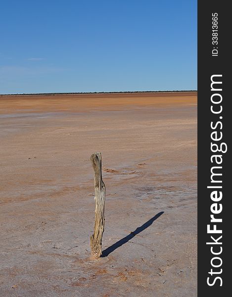 Old fence post on a salt lake in the desert
