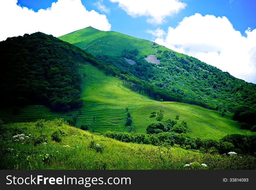 Beauty Green Hills Over Meadows at Sunny Day Outdoors